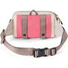 Dakine Jagger Hybrid Hip Pack(SALMON BAY)