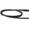 Dakine Kaimana Team Surf Leash(BLACK)