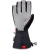 Dakine Leather Titan Gore-Tex Snow Glove(Flash)