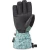 Dakine Women’s Sequoia Gore-Tex Snowboard & Ski Gloves(Poppy Iceberg)
