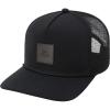 Dakine Coastline Trucker(Mulled Basil)