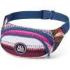 Dakine Hip Pack(STARGAZER STRIPE)