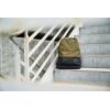 Dakine 365 Pack 21L(Blue Isle)