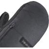 Dakine Men’s Titan Gore-Tex Ski and Snowboard Mitts(Carbon)