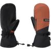 Dakine Men’s Titan Gore-Tex Ski and Snowboard Mitts(SPICE)