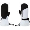 Dakine Women’s Sequoia Gore-Tex Snowboard & Ski Mitts(ANCIENT WATER)