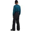 Dakine mens Sender Stretch 3l Pant – 20k Waterproof Repsych’d Recyclable, Recco®, Pfas-free, 4-way Stretch(Black)