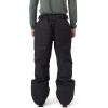 Dakine mens Surveyor Snowboard Pant – 15k Waterproof Recycled 2-layer Shell, Pfas-free(Black)