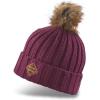 Dakine Women’s Kylie Beanie(Grape Vine)