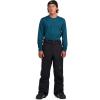 Dakine mens Sender Stretch 3l Pant – 20k Waterproof Repsych’d Recyclable, Recco®, Pfas-free, 4-way Stretch(Black)