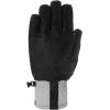 Dakine Baron Coupe Ski and Snowboard Gloves(GRIFFIN)