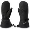Dakine Eclipse Gore-Tex Mitts(Black)