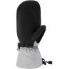 Dakine Eclipse Gore-Tex Mitts(GRIFFIN)