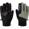 Dakine Impreza Gore-Tex Snow Glove(MULLED BASIL)