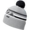 Dakine Jameson Beanie(Griffin)