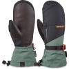 Dakine Leather Titan Gore-Tex Mitts(Dark Forest)