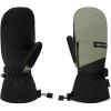 Dakine Leather Titan Gore-Tex Mitts(MULLED BASIL)