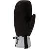Dakine Mens Baron Gore-Tex Snow Sports Mitts(GRIFFIN)