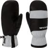 Dakine Mens Baron Gore-Tex Snow Sports Mitts(GRIFFIN)