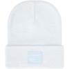 Dakine Cutter Beanie(Ancient Water)