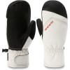 Dakine Mens Fillmore Gore-TEX Ski and Snowboard Short Mitts(Silver Lining)