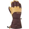 Dakine Men’s Excursion Gore-Tex Snow Glove(Tan/Mole)