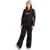 Dakine Womens Stoker Gore-Tex 3-Layer Ski/Snowboard Bibs