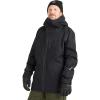 Dakine Mens Stoker Gore-Tex 3-Layer Ski/Snowboard Winter Jacket
